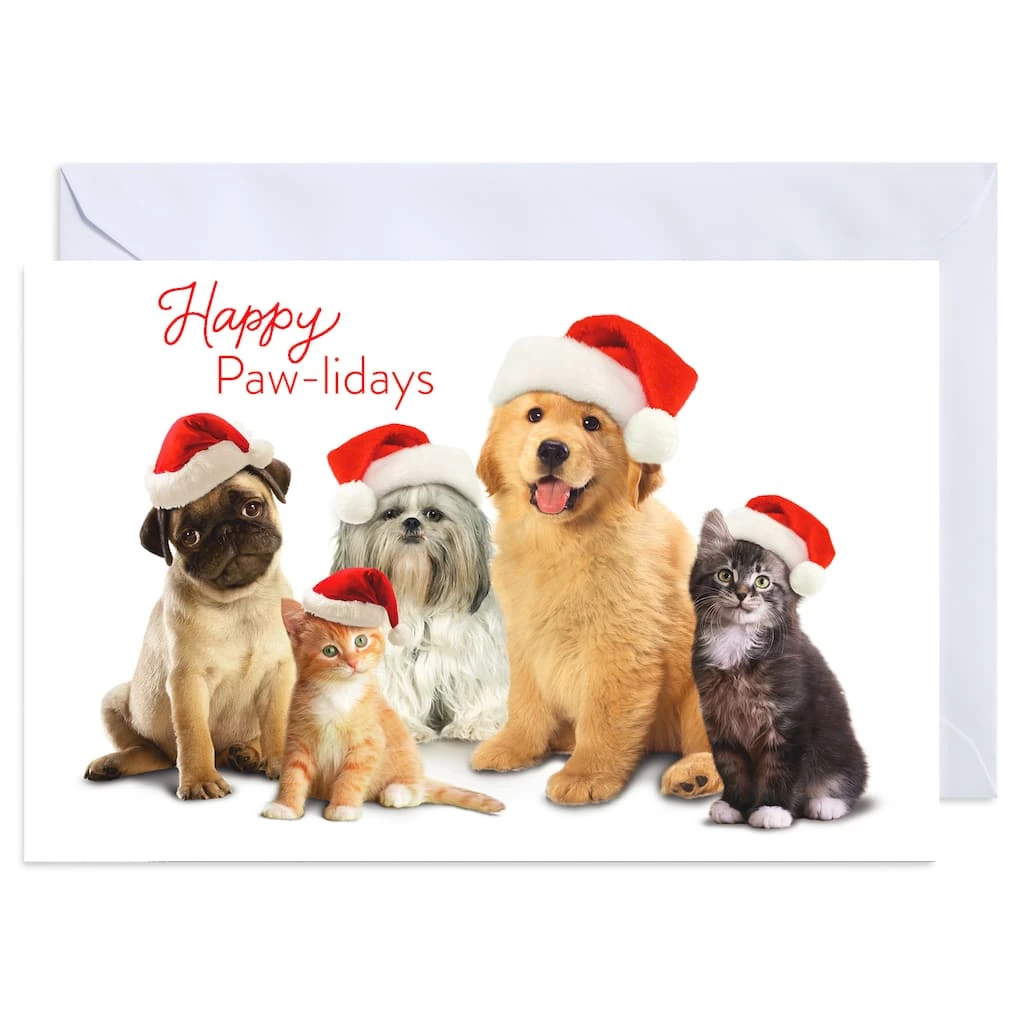 Hot Sale ๐ American Greetings® Holiday Pets Box of Cards ๐ 1 Hot Sale ๐ American Greetings® Holiday Pets Box of Cards ๐