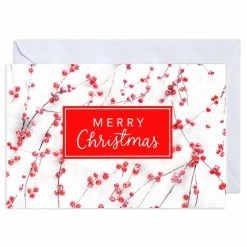 Brand new โ๏ธ American Greetings® Merry ๐ Christmas Berries Box of Cards ๐