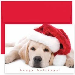 Coupon 🤩 JAM Paper Santa Puppy Blank 🎁 Christmas Cards Set, 18ct. ⭐