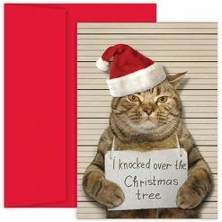 Cheap 😉 JAM Paper 5" x 7" Bad Cat Cards & Envelopes Set, 18ct. 🤩
