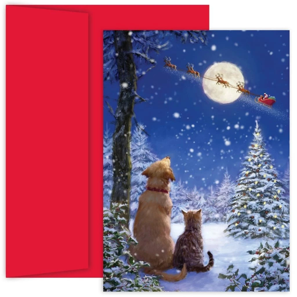 Best deal π JAM Paper 5" x 7" And to All a Goodnight Cards & Matching Envelopes Set, 18ct. π 1 Best deal π JAM Paper 5" x 7" And to All a Goodnight Cards & Matching Envelopes Set, 18ct. π